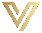 Visionera Logo